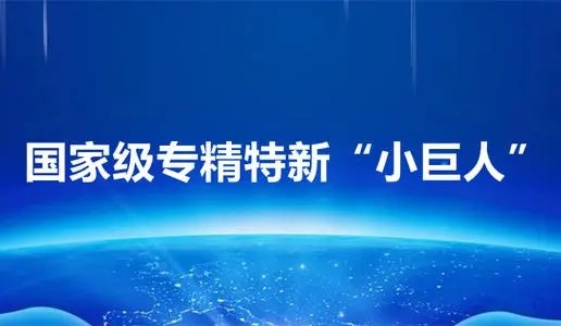 抓紧申报专精特新小巨人申报指南及中央与地方奖励政策