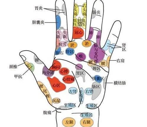 大鱼际肌人体自带的速效救心丸