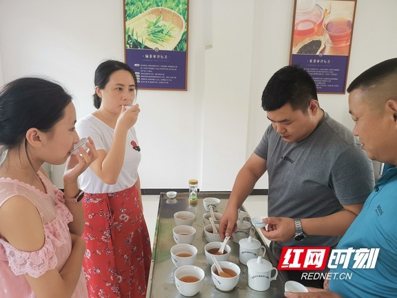 新茶人|邓鹏飞:稳健中求创新 青春在茶香中沉淀
