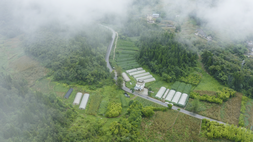 武隆西瓜走红腾讯视频《水果有名堂》助力乡村振兴