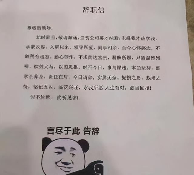 00后毕业生的辞职信,理由任性又嚣张,老板:感觉身份被