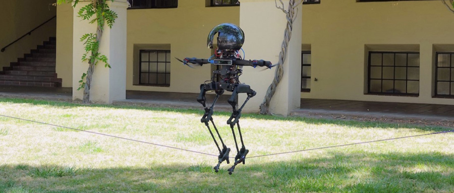 人形机器人成精了走钢丝玩滑板还会飞上天