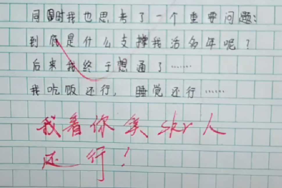 作文，梦见二十年后的我