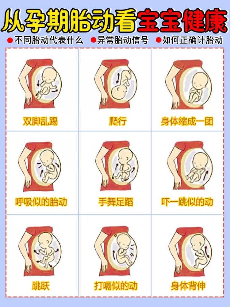 孕妈一定要知道的胎动知识异常胎动表现
