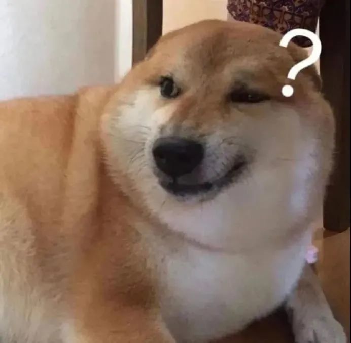 表情包丨一只迷茫的柴犬