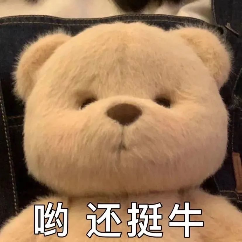 表情包丨一只迷茫的柴犬