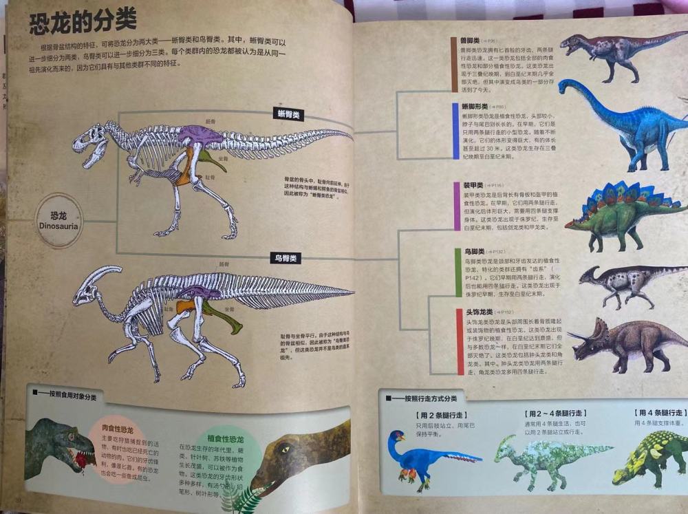 书里有最全的恐龙知识,既有趣又专业,小小恐龙迷的家长快看过来