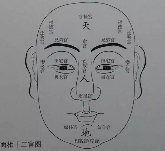 你的手指关节上,有"夫子眼"吗?