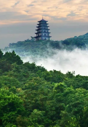 半价南京都市圈景区游览福利其中江北有这四家景区