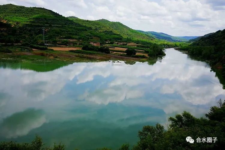 【实拍●合水县新村水库四季景色美如画,候鸟成群翩翩飞