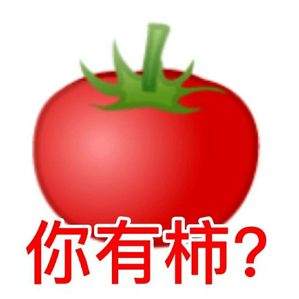 谐音表情包你有柿
