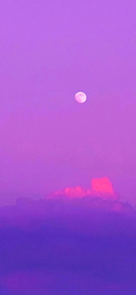 背景图篇 紫色系的背景图来啦