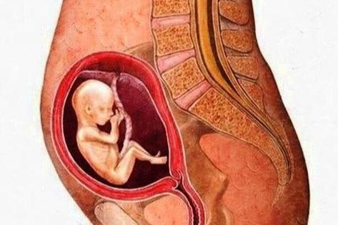 怀孕4个月胎儿和妈妈的这些变化你可曾想到过孕妈惊喜意外