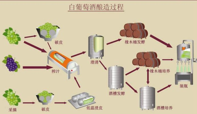 白葡萄酒的酿造过程你知道吗?一次性带图讲个透,看完你也是行家