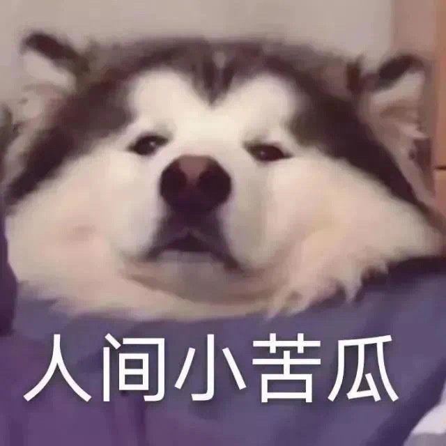 丧丧的表情包 人间大窝瓜