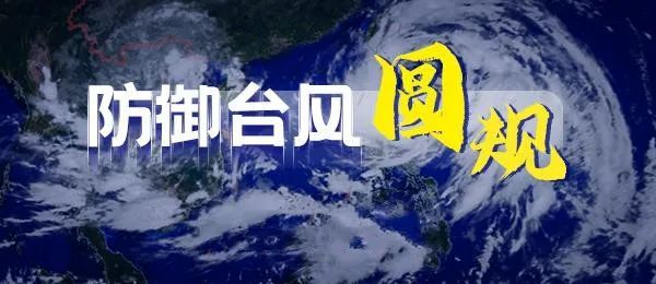 【海枫小学】防台风小贴士