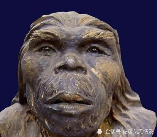 距今170万年前的人类——元谋人几年前,距今170万年前的云南元谋人都