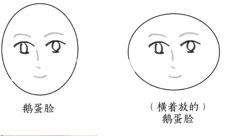 比如说同样面积的鹅蛋脸与短圆脸,明显可以看出,短圆脸会比较大.