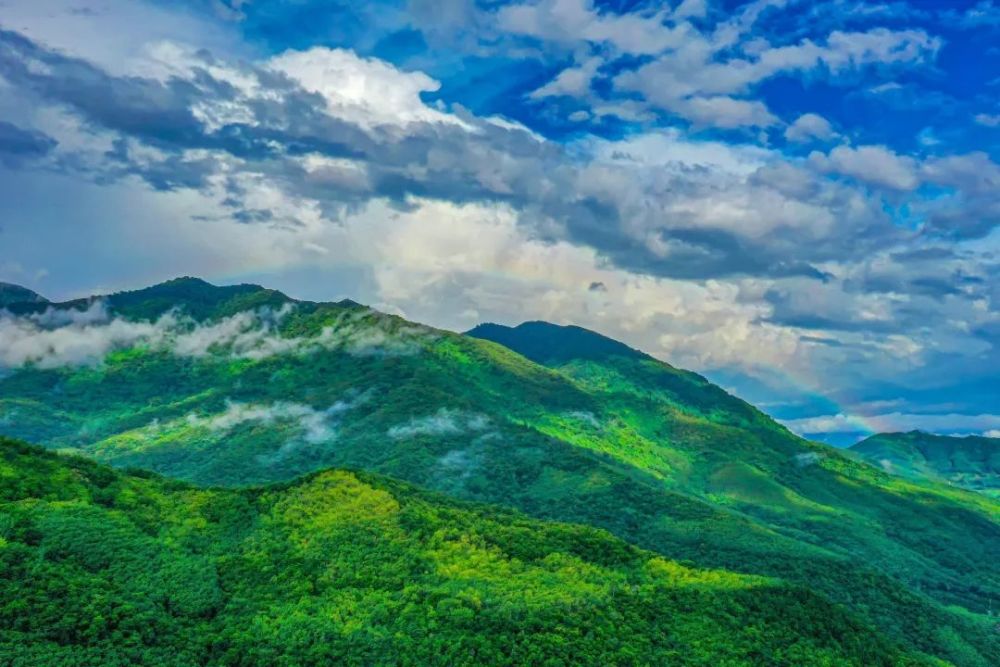 入选第一批国家公园!海南热带雨林国家公园有多美?