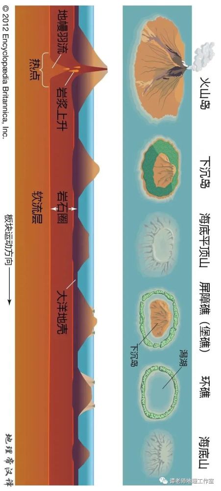 (以上是达尔文理论图 达尔文(上图)认为:火山形成后,珊瑚围绕火山