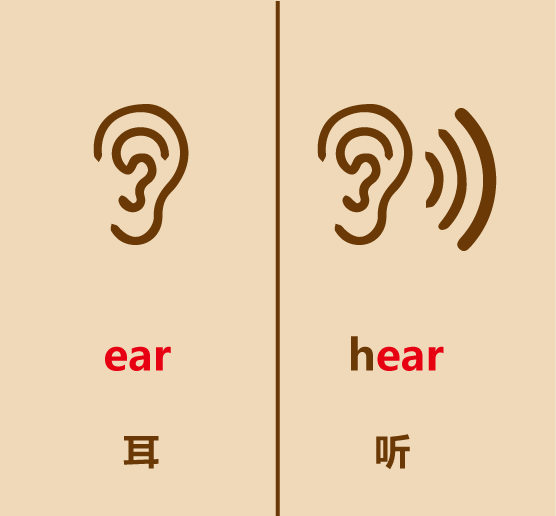 ear简笔画