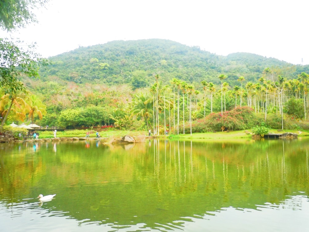 2012年呀诺达景区被评为"国家5a级旅游景区".
