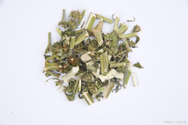 你一定听说过益母草颗粒吧那你见过益母草没有你的身边可能就有