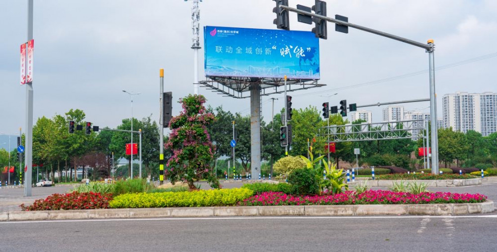 快看!这里的安全岛上有风景