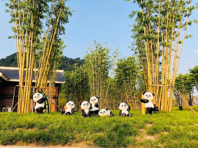 第十一届中国竹文化节将在宜宾举办!12项活动让你满"竹"