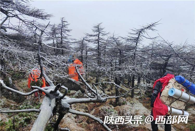 穿越"鳌太线"失联驴友确认遇难,外套脱落身旁疑曾出现