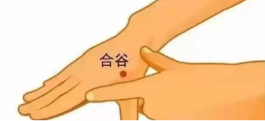 所谓"面口合谷收,即是说凡是头部,面部的疾病,像头痛,牙痛,发热,口干