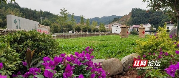 坐标湖南浏阳,我参与建设的美丽乡村,看完了你们绝对会想回农村