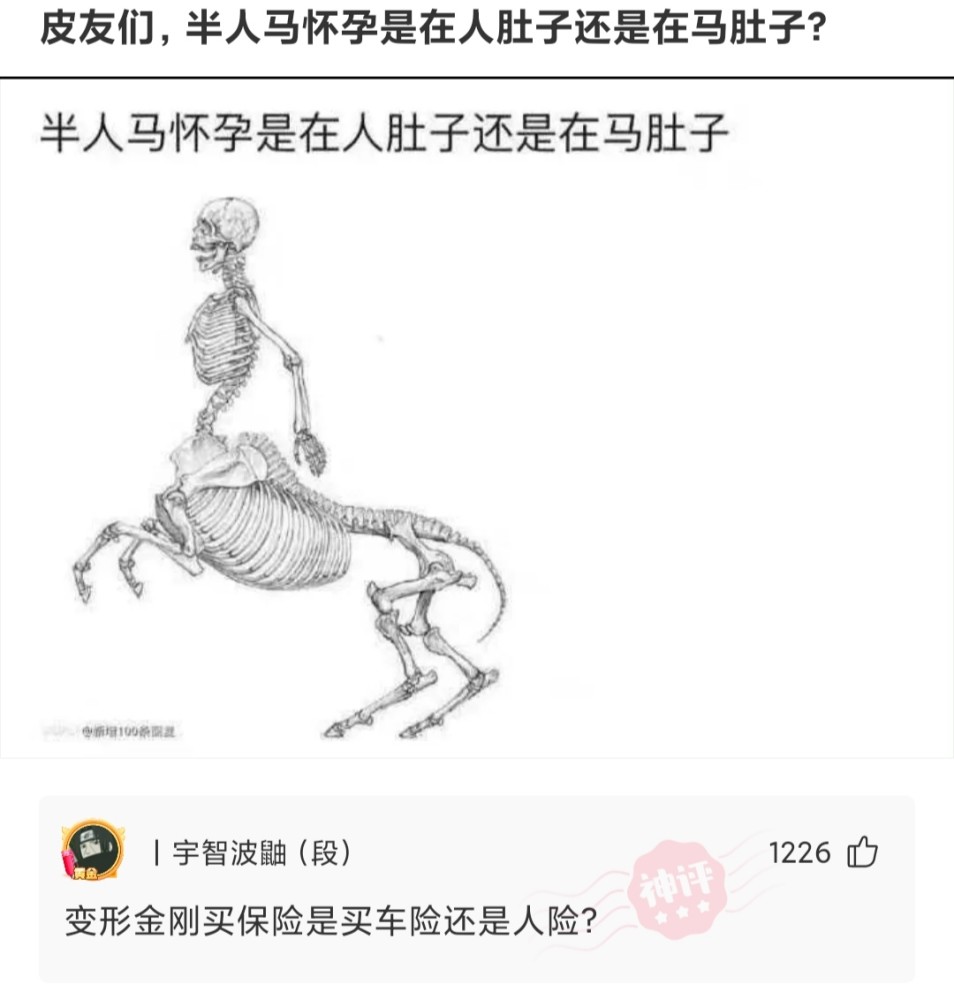 【沙雕问题3】:皮友们,半人马怀孕是在人肚子,还是在马肚子?