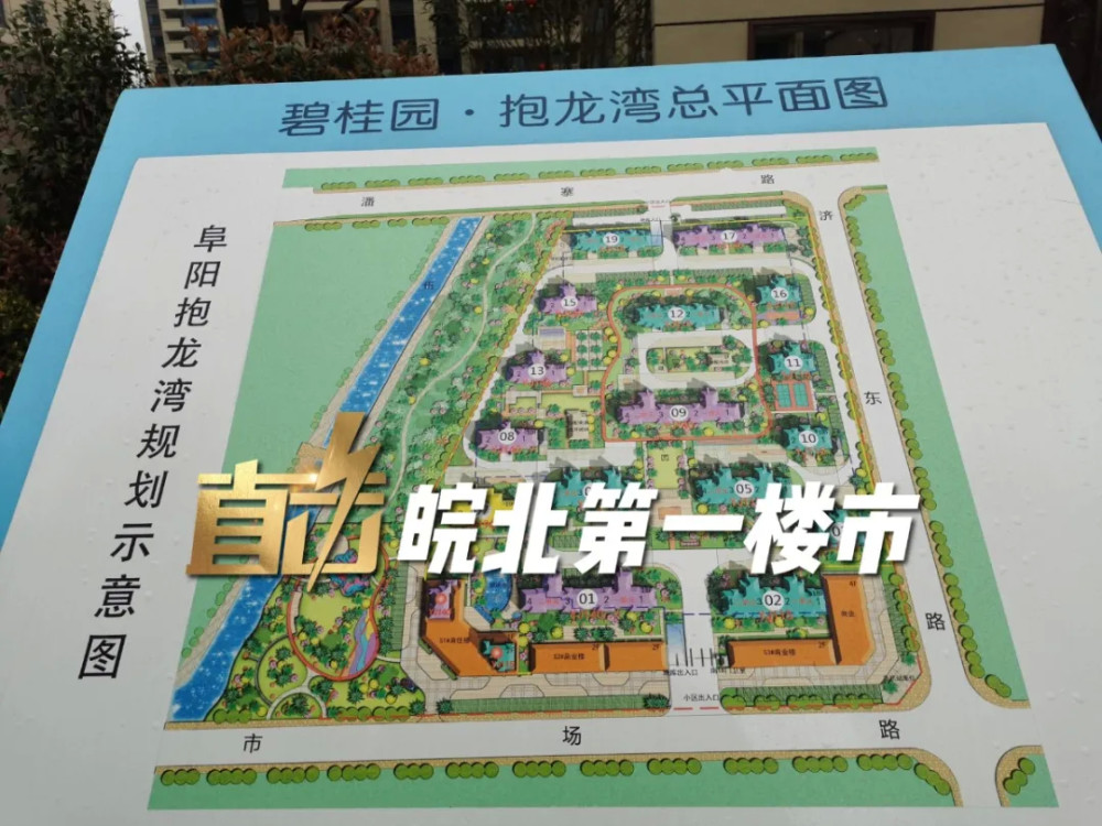 正对着小区,走进去就能看到碧桂园 抱龙湾总平面图.