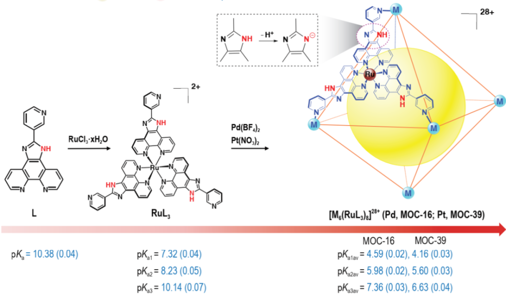 诱导笼壁骨架上的24个咪唑基团发生质子电离,驱动电离平衡和pka移动