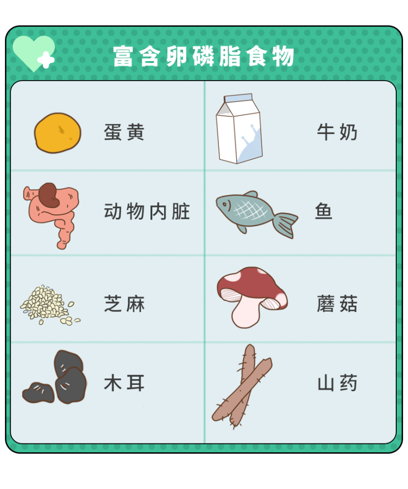 哺乳妈妈可以吃 富含卵磷脂的食物,它可以增加不饱和脂肪酸在乳汁中的