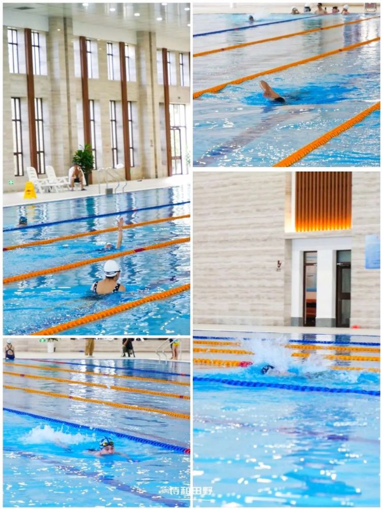 沉浸式体验濮阳这家国标级游泳馆!