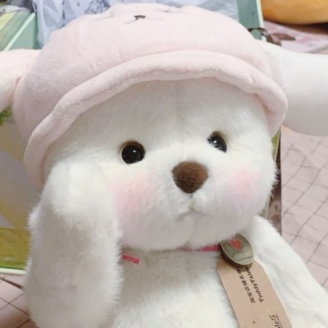 布偶头像|苦尽甘来 苦会尽甘也会来