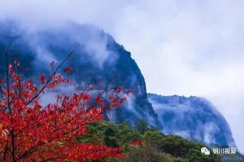 周末打卡地,铜川薛家寨景区恢复开园