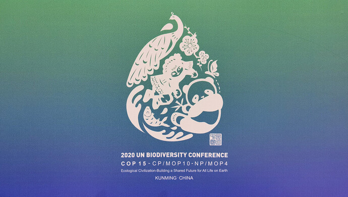 cop15第一阶段会议闭幕有哪些成果生物多样性公约秘书处这样评价