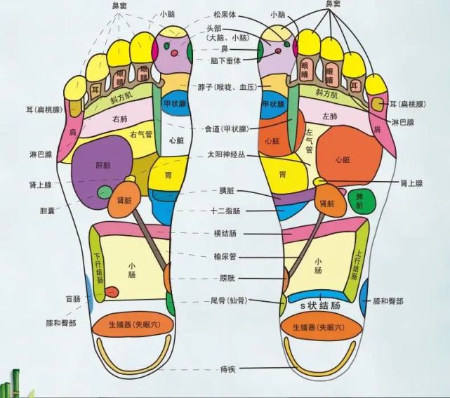 【养生文化】脚为人体"第二心脏",足部疗愈技巧分享