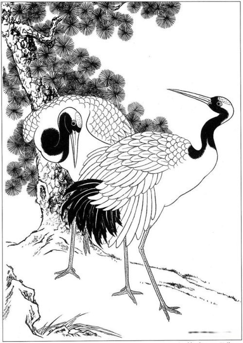 仙鹤工笔画法图解