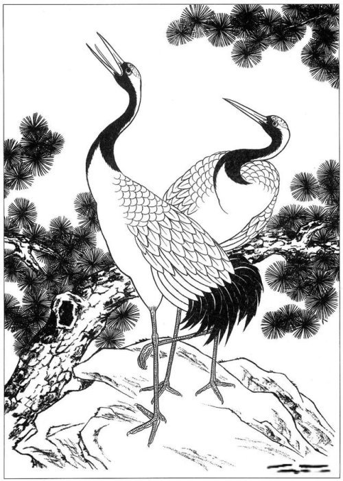 附:白描仙鹤高清图浓钦白丝染白色羽毛,勾墨线的羽毛丝染成折扇面型