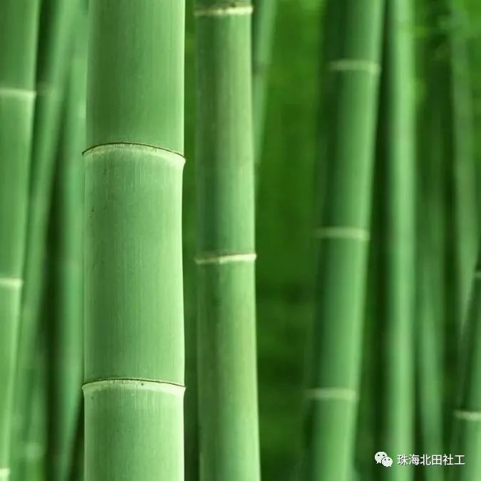 简报新竹社区养老服务站工作简报丨健康驿站