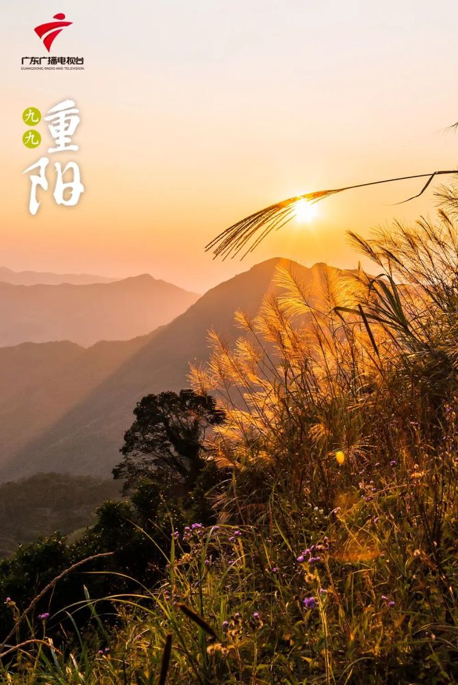 登高"辞青"也是源于大自然中的节气,重阳节登山"辞青"与古人在阳春