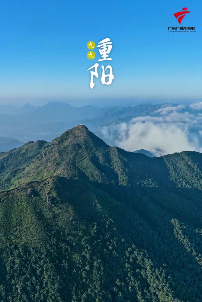 登高"辞青"也是源于大自然中的节气,重阳节登山"辞青"与古人在阳春
