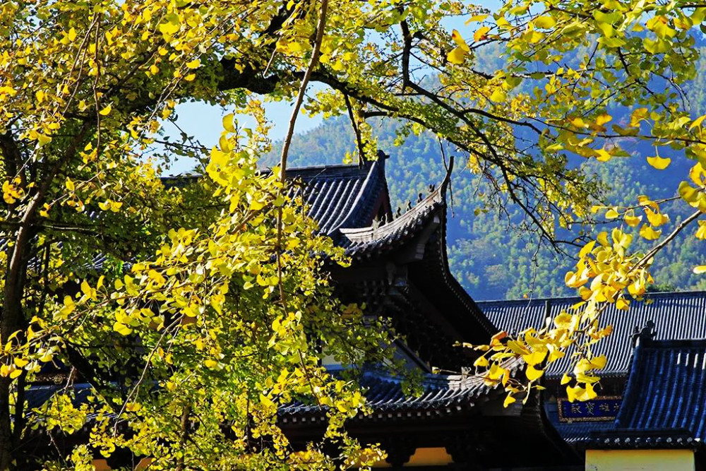 仰山栖隐禅寺