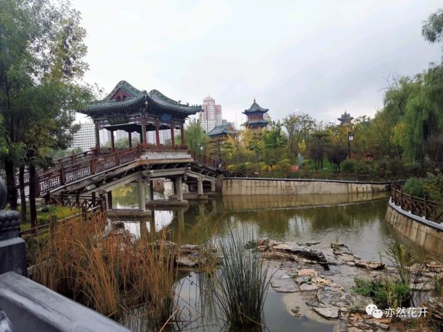 重回迎泽公园