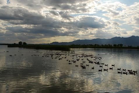 乌兰布统野鸭湖风景区位于乌兰布统苏木西北11公里处,将军泡子南侧