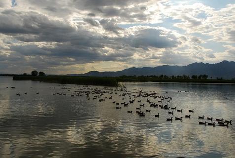 内蒙古乌兰布统野鸭湖景区